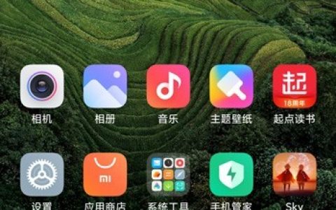 小米12桌面图标大小在哪里设置?小米12桌面图标大小的设置方法