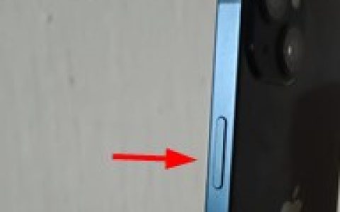 电源按钮在iPhone上不起作用：修复