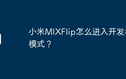 小米MIXFlip怎么进入开发者模式？