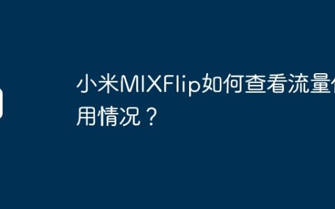 小米MIXFlip如何查看流量使用情况？