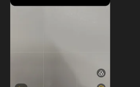 真我Realme GT6如何进行自动连拍？
