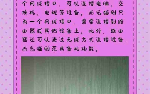 如何正确连接光猫和路由器实现网络连接（一步步教你快速设置网络连接）