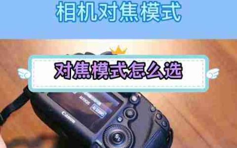 如何将照片从Canon相机传输到手机（一步步教你实现高效快捷的照片传输）