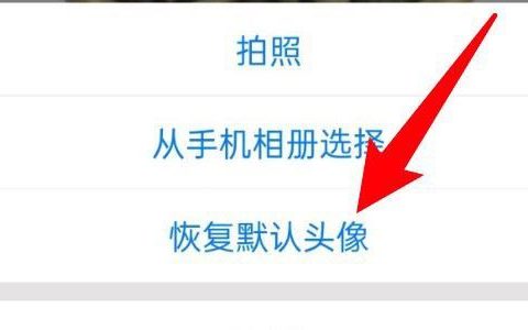 腾讯会议怎么恢复默认头像 腾讯会议恢复默认头像方法【详解】