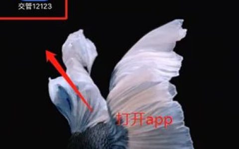 交管12123办理恢复驾驶资格业务怎么操作 交管12123办理恢复驾驶资格业务操作方法【教程】