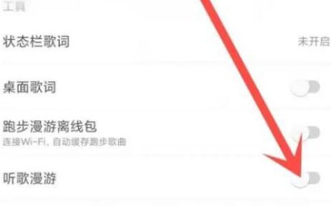 网易云私人漫游模式怎么设置 网易云私人漫游模式设置方法【详解】