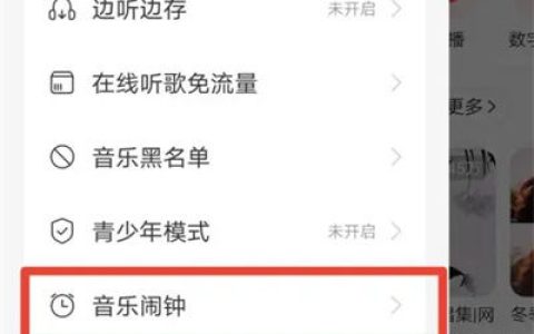 网易云音乐怎么打开闹钟 网易云音乐打开闹钟方法【详解】