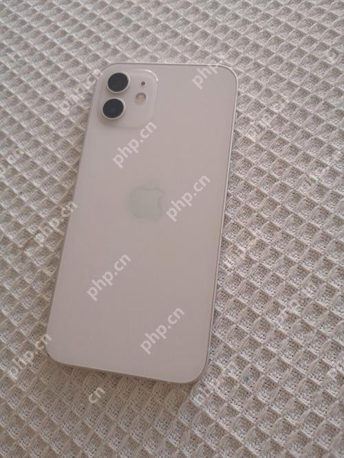 iOS设备安装应用的隐私风险与防护措施
