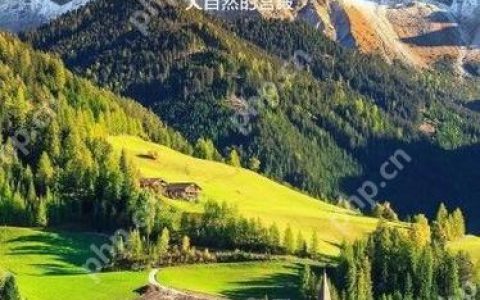 OPPOReno11快充协议切换技巧