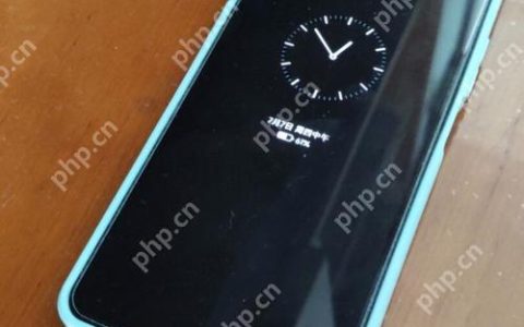 vivoX90Pro+续航崩溃应急方案