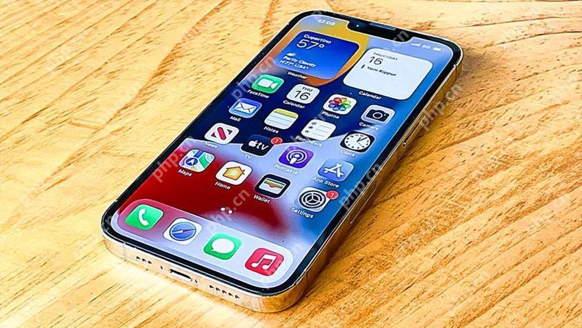 医疗ID设置：关键时刻保护个人健康信息
