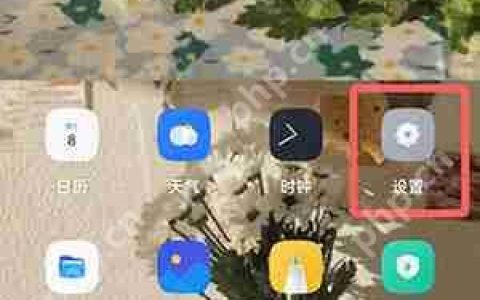 coloros12怎么打开开发者模式