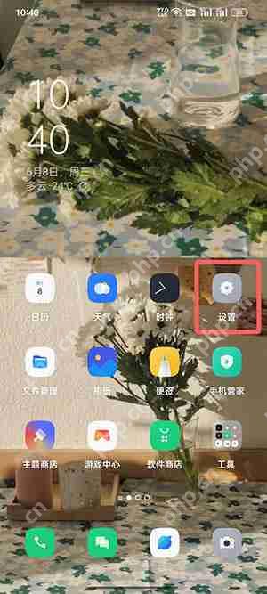 coloros12怎么打开开发者模式
