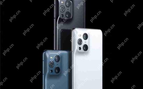 OPPOfindx3有几个颜色
