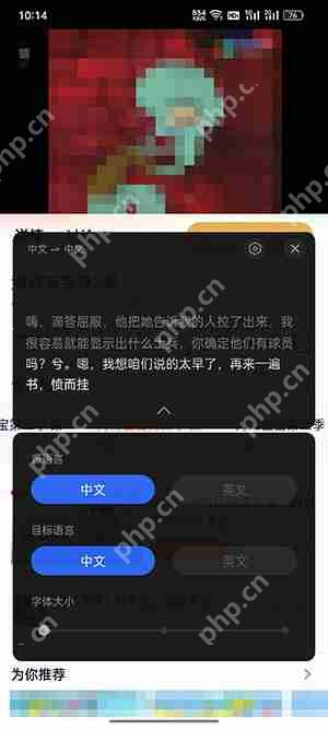 oppo智能字幕可以翻译日语吗