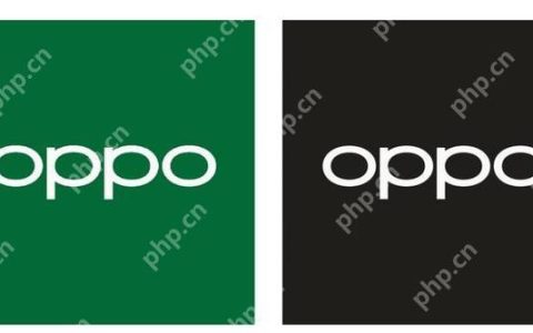 oppo手机在哪里清理垃圾 oppo手机垃圾清理步骤分享