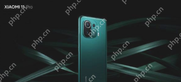 小米11Pro紫色和绿色哪个好看