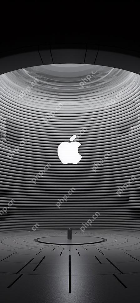 iPhone安装音乐与视频应用（如Spotify、Netflix）的方法