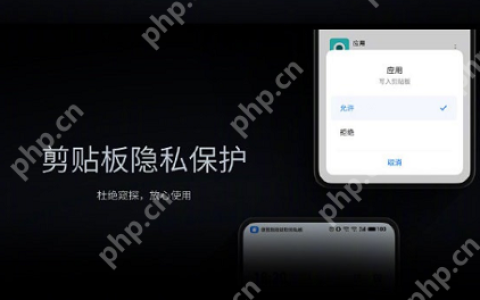 以下关于魅族18系列旗舰手机剪贴板权限的说法中，正确的