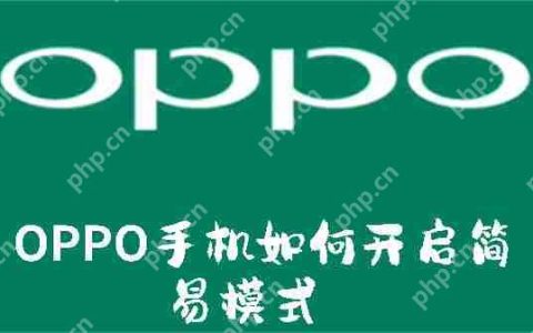 OPPO手机如何开启简易模式