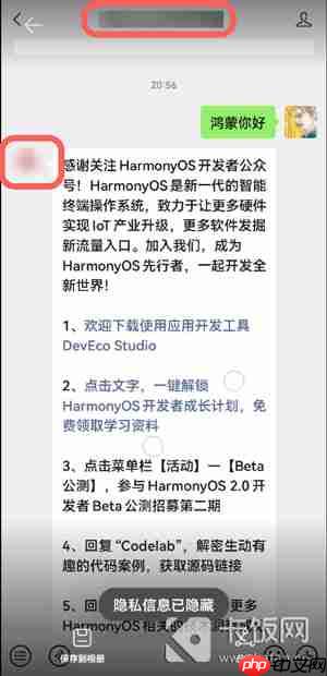华为聊天隐私保护怎么用
