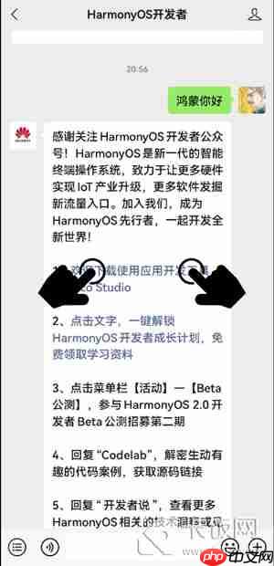 华为聊天隐私保护怎么用