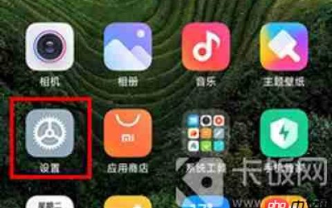 小米12开发者选项怎么打开