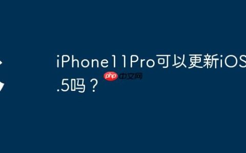 iPhone11Pro可以更新iOS 17.5吗？