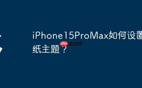 iPhone15ProMax如何设置壁纸主题？