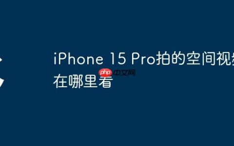 iPhone 15 Pro拍的空间视频在哪里看