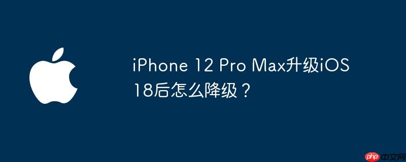 iphone 12 pro max升级ios 18后怎么降级？