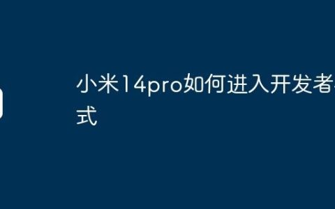 小米14pro如何进入开发者模式