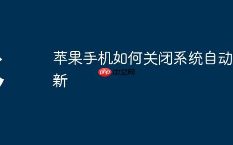 苹果手机如何关闭系统自动更新