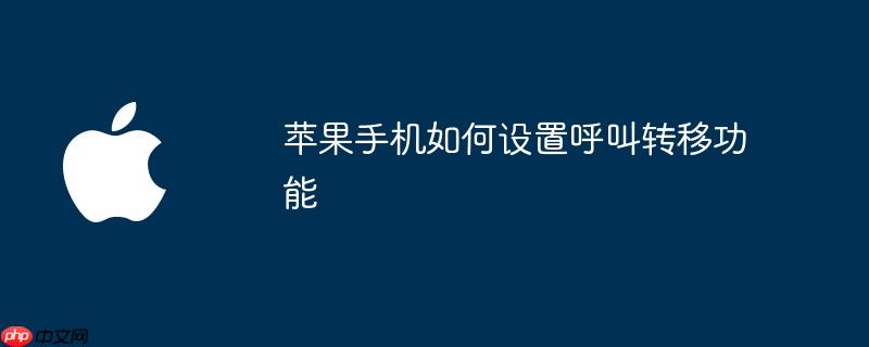 苹果手机如何设置呼叫转移功能
