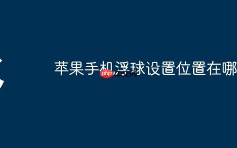 苹果手机浮球设置位置在哪