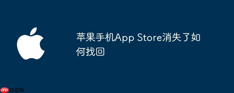 苹果手机app store消失了如何找回