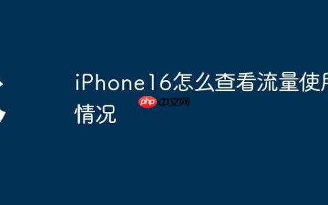 iPhone16怎么查看流量使用情况