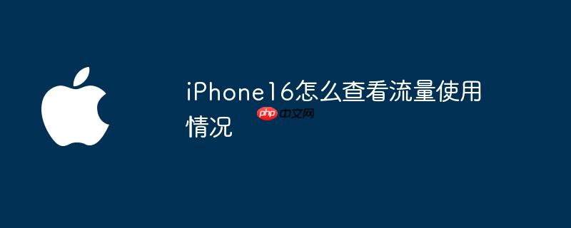 iphone16怎么查看流量使用情况