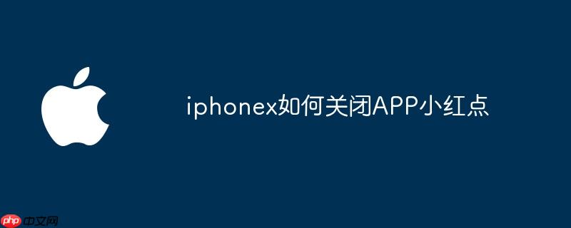 iphonex如何关闭app小红点