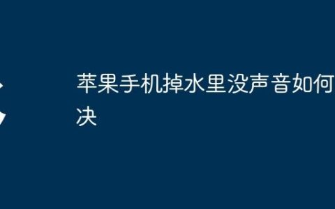 苹果手机掉水里没声音如何解决