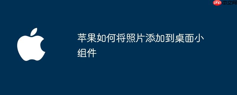 苹果如何将照片添加到桌面小组件