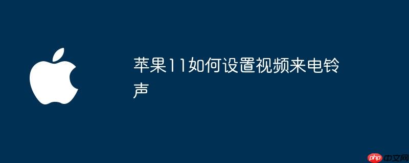 苹果11如何设置视频来电铃声