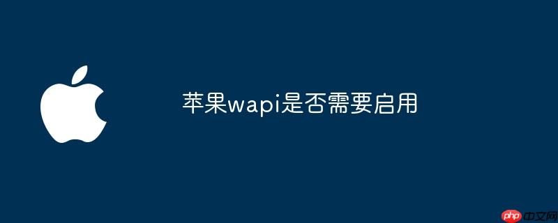 苹果wapi是否需要启用
