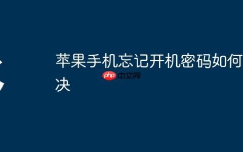 苹果手机忘记开机密码如何解决