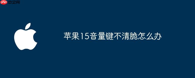 苹果15音量键不清脆怎么办