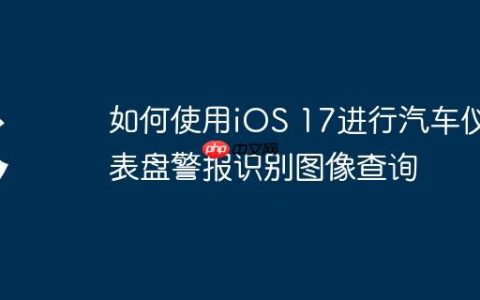 如何使用iOS 17进行汽车仪表盘警报识别图像查询