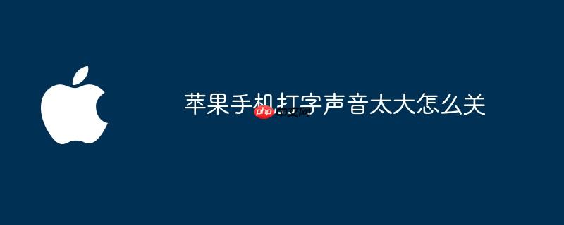 苹果手机打字声音太大怎么关