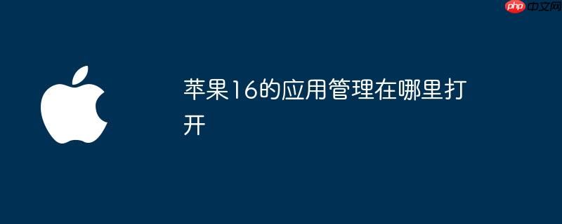苹果16的应用管理在哪里打开