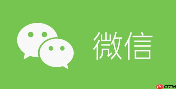 荣耀v系列手机微信收款语音怎么设置？快速配置支付播报指南