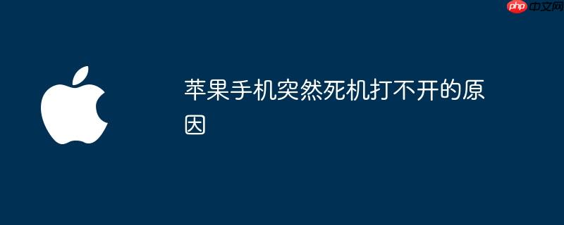 苹果手机突然死机打不开的原因